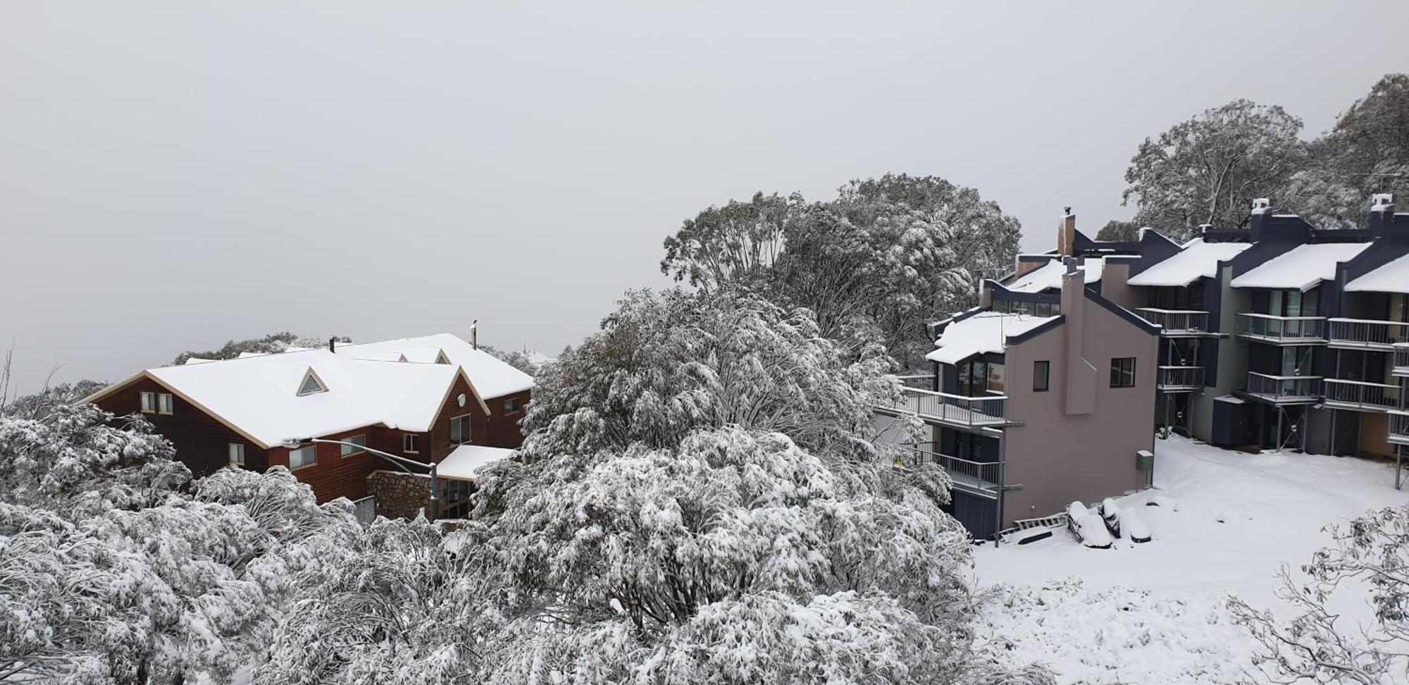 Cedarwood Apartments Falls Creek Exterior foto